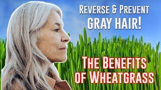 The Secret to Reversing Gray Hair: The Amazing Benefits of Wheatgrass