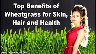 Top Benefits of Wheat grass for Skin, Hair and Health