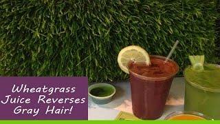 Wheatgrass Juice Reverses Gray Hair!