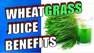 14 Health Benefits of Drinking Wheatgrass Juice Including Cancer, Weight Loss & Hair